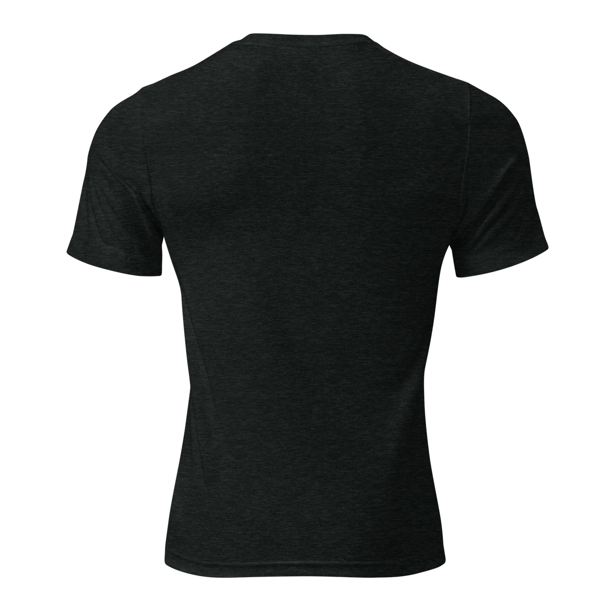 Off Duty Men's Triblend Tee in Black, back view